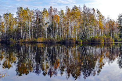 Reflection of trees in lake against sky