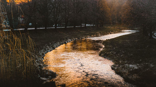 Shadow of trees on riverbank