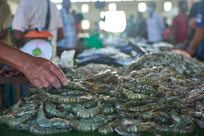 Pile of fresh raw shrimps for sale at traditional seafood and fish market