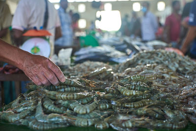 Man holding fish at market