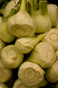 Close-up of fresh vegetables