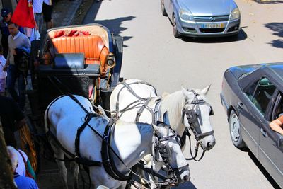 Cars parked in parking lot