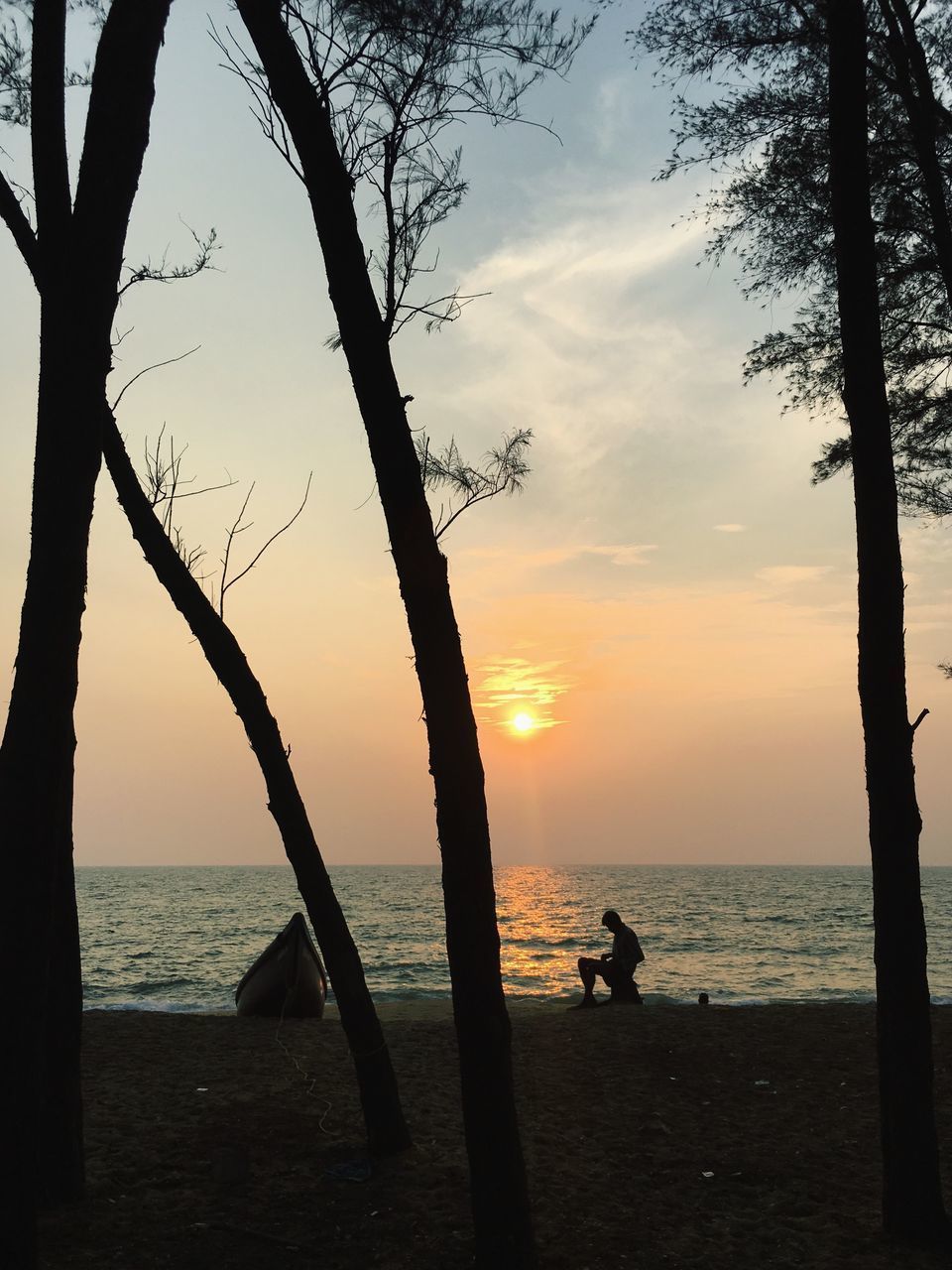 SILHOUETTE TREE ON BEACH AGAINST SKY DURING SUNSET