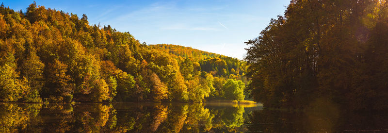 Lake fog landscape with autumn foliage and tree reflections in styria, thal, austria. autumn season 