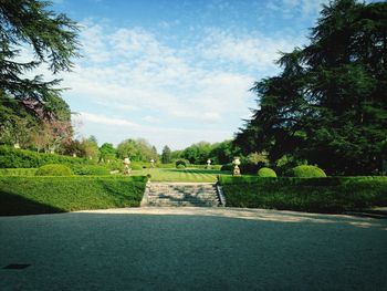 Footpath with trees in background