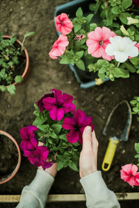 Cropped hand of woman holding bouquet