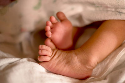 Low section of baby feet on bed