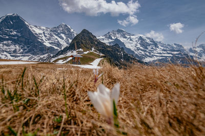 Scenic view of snowcapped mountains against sky