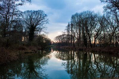 Reflection of trees in lake against sky