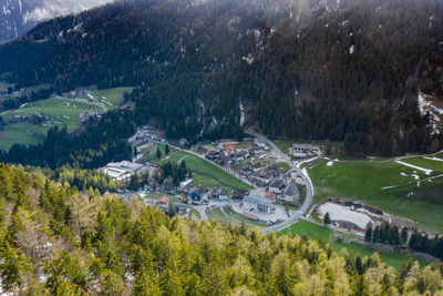 High angle view of trees in forest