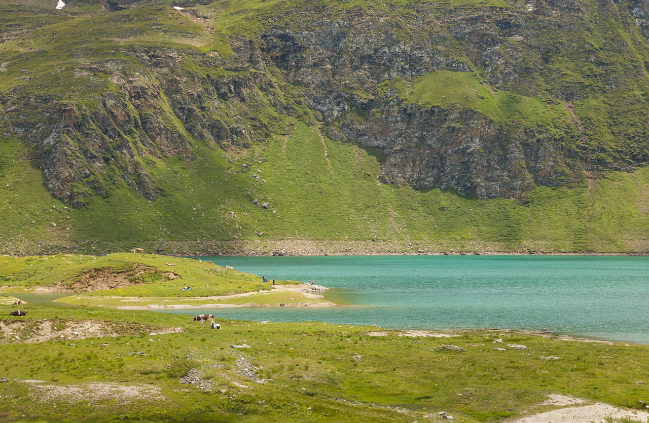 SCENIC VIEW OF LAKE AND TREES