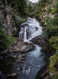 Scenic view of waterfall in forest