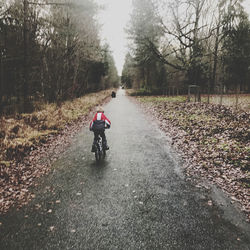 Rear view of person riding bicycle on road