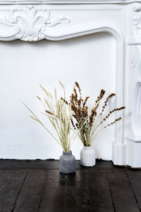 Potted plant on table