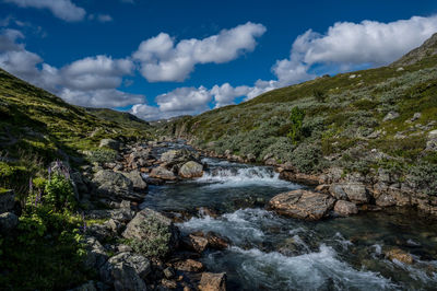 Stream mjolga near toviken, norway