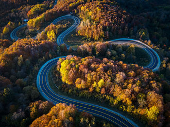 High angle view of road amidst trees