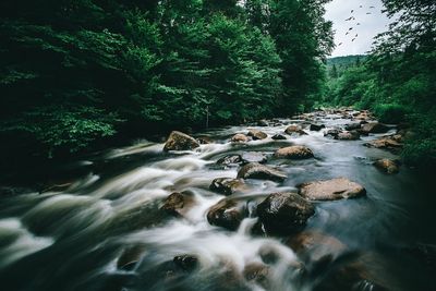 Scenic view of waterfall in forest against sky