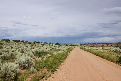 Scenic view of country road along green landscape against cloudy sky