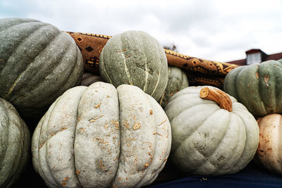 Close-up of pumpkins for sale at market