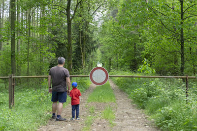 Rear view of men walking in forest