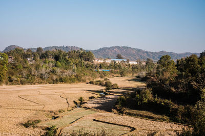 Scenic view of landscape against clear sky