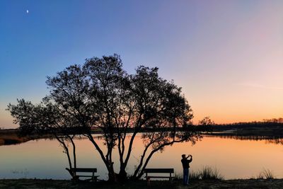 Silhouette trees by lake against sky during sunset