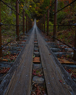 Footbridge amidst trees in forest