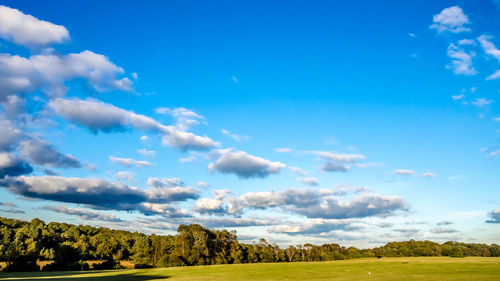 Scenic view of landscape against blue sky