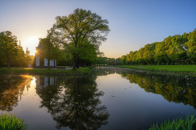 reflection