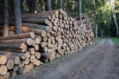 Pile of wood. a view of huge stacks of logs.