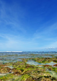 Scenic view of beach against blue sky