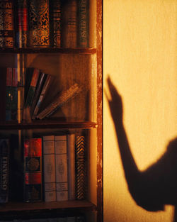 Books touch your soul