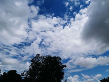 Low angle view of silhouette trees against blue sky