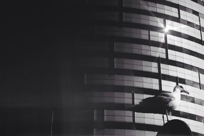 Modern building in city