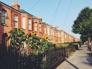 Buildings in city