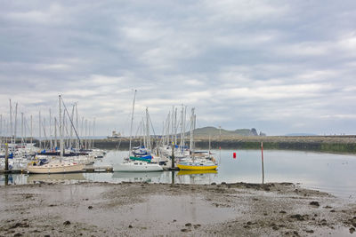 Sailboats in marina