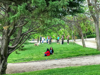 People in park