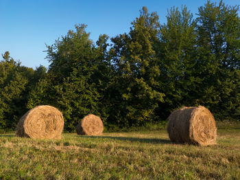 Hay bales on field against sky