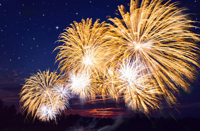 Low angle view of firework display at night