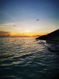 Silhouette birds flying over sea during sunset