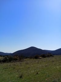 Scenic view of field against clear blue sky