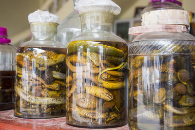 Close-up of dead snakes in glass jars on table