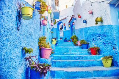 Low angle view of potted plants hanging on wall by swimming pool