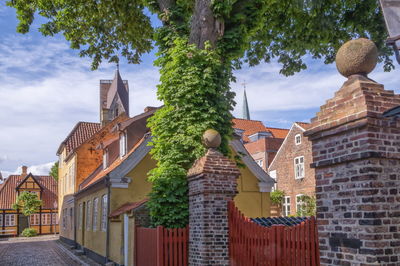 Low angle view of trees and buildings against sky