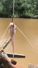 Person holding fishing rod