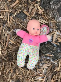 High angle view of child on field