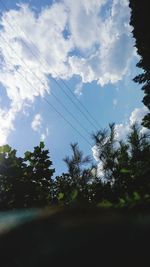 Low angle view of trees against sky