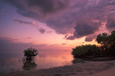 A spectacular sunrise in bimini, bahamas