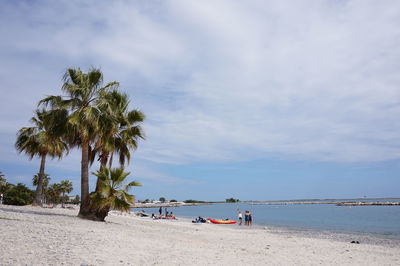 Palm trees at beach against sky