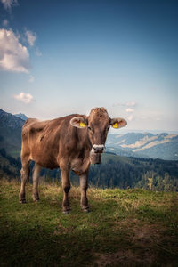 Cows standing on field against sky